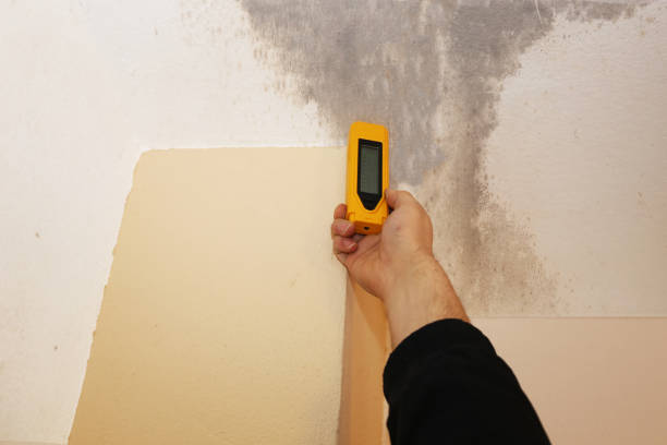 Best Crawl Space Mold Remediation  in Crandon Lakes, NJ