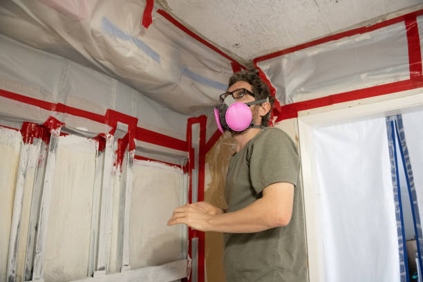 Trusted Crandon Lakes, NJ Mold Removal Experts