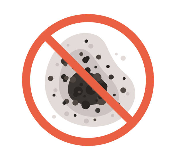 Mold Documentation for Insurance Claims in Crandon Lakes, NJ