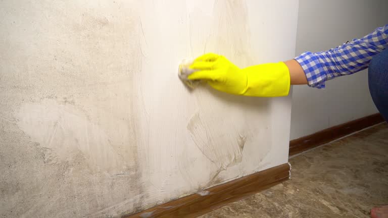 Best Real Estate Mold Inspection  in Crandon Lakes, NJ