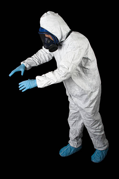 Best Attic Mold Removal  in Crandon Lakes, NJ